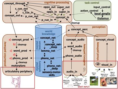 Modeling the Mental Lexicon as Part of Long-Term and Working Memory and Simulating Lexical Access in a Naming Task Including Semantic and Phonological Cues